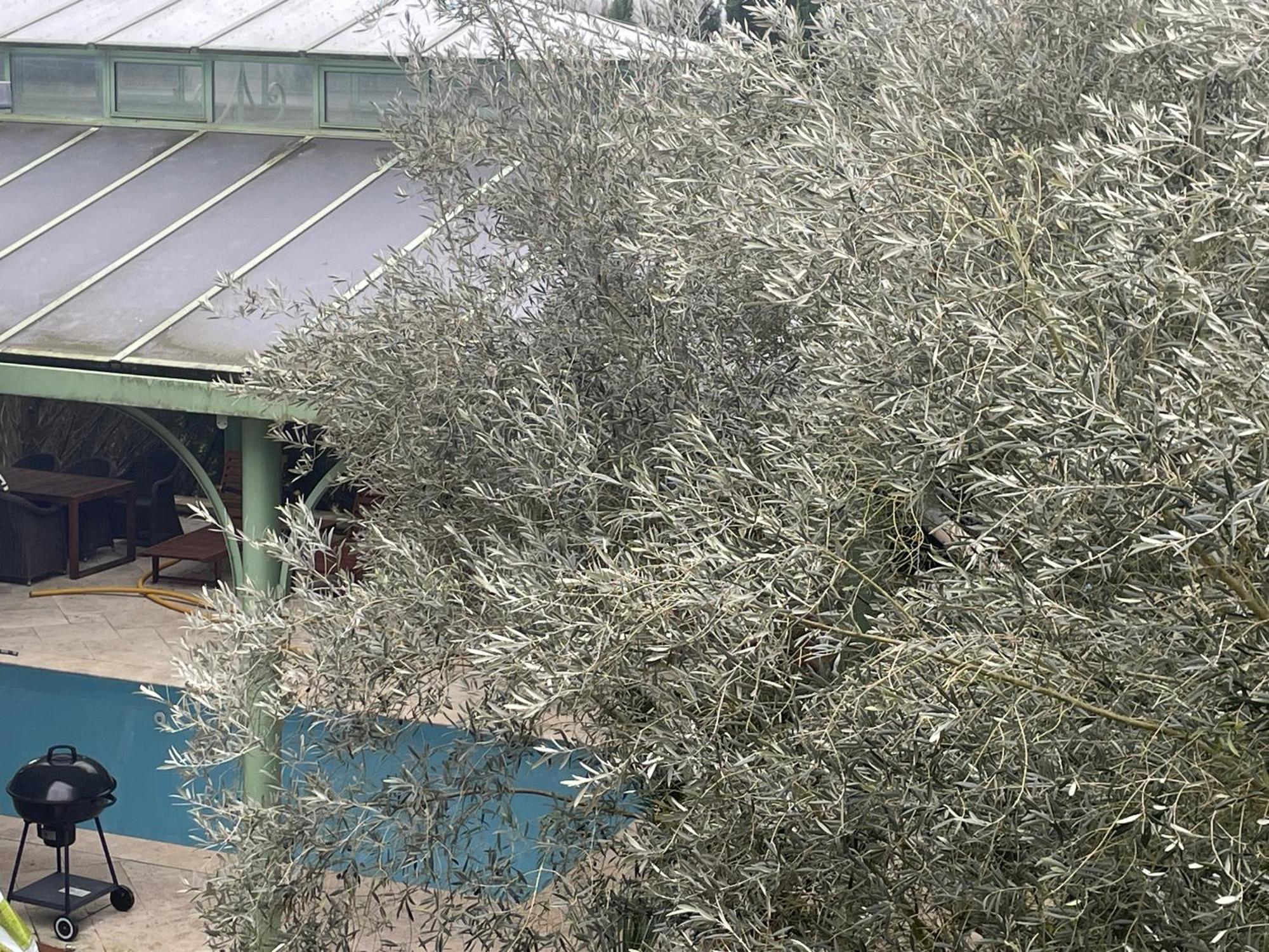 VILLA SPA PERRET-4 Étoiles-PARC de 3 Ha au pied du PARC NATUREL DU VEXIN NORMAND-Châteaux -Nature-Ballades-VTT-Cheval-Golf-À 5 Mn de GIVERNY-Jardins de MONET-Musée IMPRESSIONNISTE-Pour 2 Nuitées SAUNA ou JACUZZI offert en Hiver ou PISCINE en Été ou H Sainte-Genevieve-les-Gasny Habitación foto
